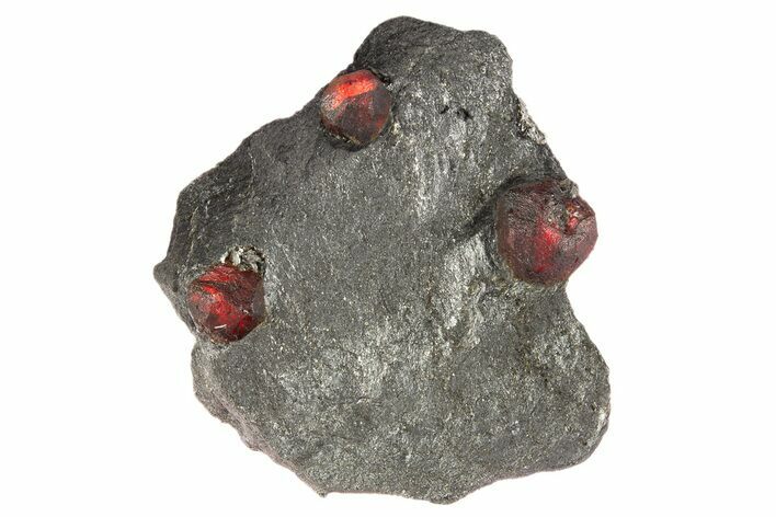 Plate of Three Red Embers Garnets in Graphite - Massachusetts #313474